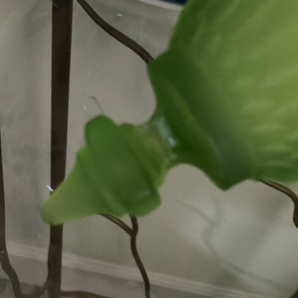 SATIN FROSTED GREEN INDIANA PEDESTAL LIDDED WITH KNOB LIME GREEN 10" TALL DISH - Picture 6 of 6